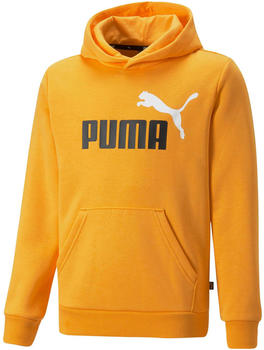 Puma Essentials+ Two-Tone Big Logo Youth Hoodie (586987) tangerine