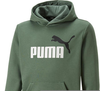 Puma Essentials+ Two-Tone Big Logo Youth Hoodie (586987) deep forest