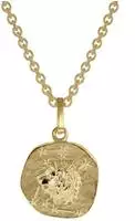 trendor 75905-08 Sternzeichen f&uuml;r Kinder L&ouml;we Gold 333 Anh&auml;nger + Halskette