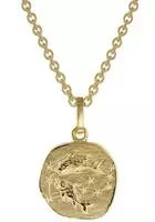 trendor 75905-03 Sternzeichen f&uuml;r Kinder Fische Gold 333 Anh&auml;nger + Halskette