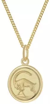 Trendor Kinder Sternzeichen Steinbock, Gold 333 mit vergoldeter Kette 45cm (28468-01)