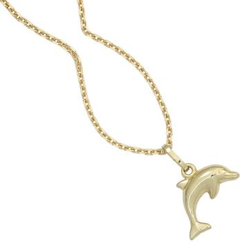 Jograbo JOBO Anh&auml;nger Delfin (42917)