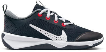 Nike Omni Multi-Court Gs Niedrig blau