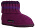 Haflinger Paul