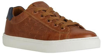 Geox J NASHIK Boy A Sneaker cognac navy