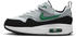 Nike Nike Air Max 1 EasyOn (DZ3308) white/pure platinum/negro/stadium green