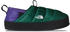 evergreen/peak purple