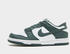 Nike Dunk Low Kids