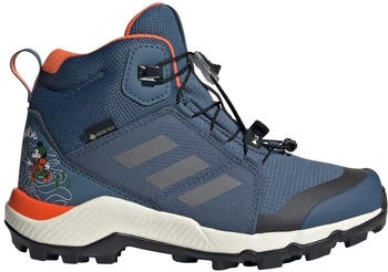 Adidas Terrex Disney Mid GTX Kids (IH5089) wonder steel/grey three/semi impact orange