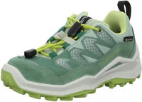 Lowa 641627-7946-5, Lowa Wanderschuhe Maddox Pro Low GTX Junior (Textil/Veloursleder,