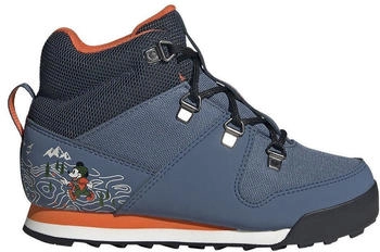 Adidas Terrex Snowpitch Cold.Rdy Disney Kids core black/grey six/grey four (ID3558)