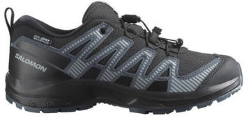 Salomon Xa Pro V8 Wp Wanderschuhe black turbulence quarry L47729300-33