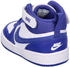Nike Court Borough Mid 2 TDV (CD7784)