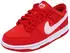 Nike Dunk Low Kids