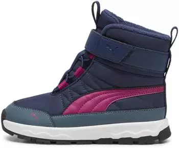 Puma EVOLVE AC PS persian blue magenta gleam