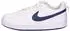 Nike Court Borough Low (IQ0808) white/midnight navy