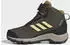 Adidas TERREX Winter Mid Boa R.RDY Kids shadow olive/dual yellow/olive strata