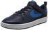 Nike Court Borough Low 2 Psv