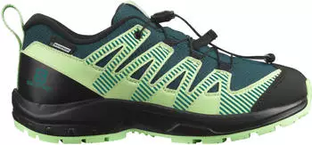 Salomon XA PRO V8 CLIMASALOMON WATERPROOF deep teal/black/patina green