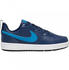 Nike Court Borough Low 2 (BQ5448)