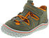 Pepino Jerry (50 1700102)