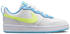 Nike Court Borough Low 2 (BQ5448)