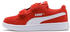 Puma Smash V2 SD V PS