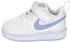 Nike Court Borough Low Recraft Kids (DV5458)