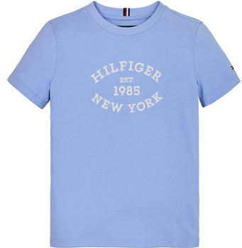 Tommy Hilfiger Monotype Flock Regular Short Sleeve T-Shirt blue Boys (KB0KB08658-C1Z)