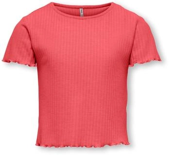 Only Kognella Top (15225338) Dubarry