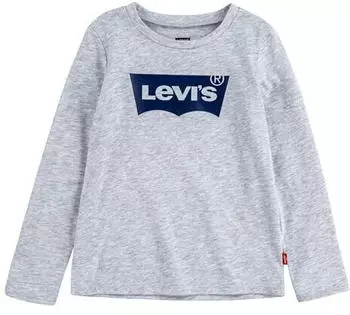 Levi's Kids L/S Batwing Tee (A643) light gray heather