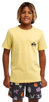 Quiksilver T-Shirt (95780235) pampas