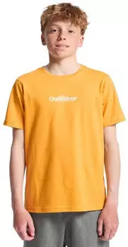 Quiksilver Fineline T-Shirt (EQBZT04955) mineral gelb/orange
