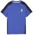 Puma Active Sports Graphic T-Shirt (691751) royal sapphire