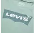 Levi's Batwing Tee T-Shirt (9E8157-FAF) hellgrau/mint/dunkelgrün