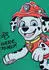 Paw Patrol Paw Patrol Kinder T-Shirt (60345014) grün