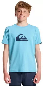 Quiksilver Ev Comp Logo T-Shirt (EQBZT04897-BJK0) aqua