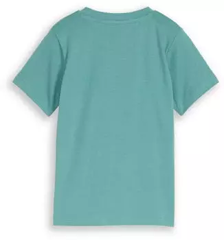 Tom Tailor Kids T-Shirt mit Print, Regular Fit (1049927) grün/schwarz/offwhite