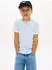 Tommy Hilfiger Essential Cotton Reg Fit Tee SS (KB0KB06879) sweet blue