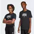 Adidas Collegiate Graphic T-Shirt Junior (JV5192) black