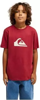 Quiksilver EV Comp Logo T-Shirt (EQBZT04897-RQZ0) burnt russet