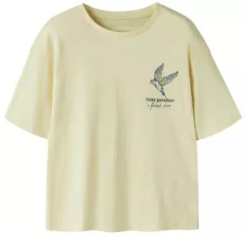 Name It NKFFRANCINE SS RLX TOP BOX T-Shirt (13254520) pear sorbet