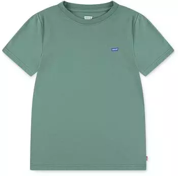 Levi's LVG Batwing Chest Hit T-Shirt (A100) grün