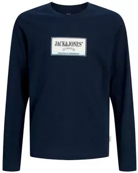 Jack & Jones JJEORGANIC Slim Fit T-Shirt hellblau/dunkelblau/weiß