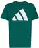 Adidas J BL TEE 160 Kids T-Shirt (KR1653) collegiate green/white