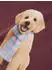 Name It NMFVOTEA LS NREG TOP Langarmshirt wild ginger print:scarf dog/hellblau/braun/weinrot/schwarz