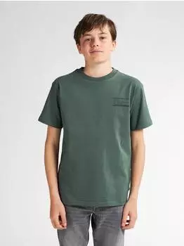Petrol Industries Acadia T-Shirt mit Rückenprint green smoke
