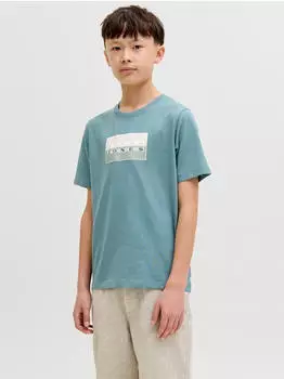Jack & Jones Junior Boys Grafik T-Shirt (12293162) grün