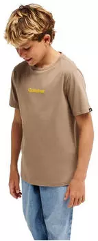 Quiksilver Rays T-Shirt (EQBZT05007) pine bark