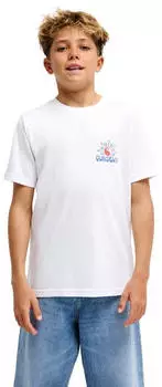 Quiksilver Fusion T-Shirt (EQBZT05022) white